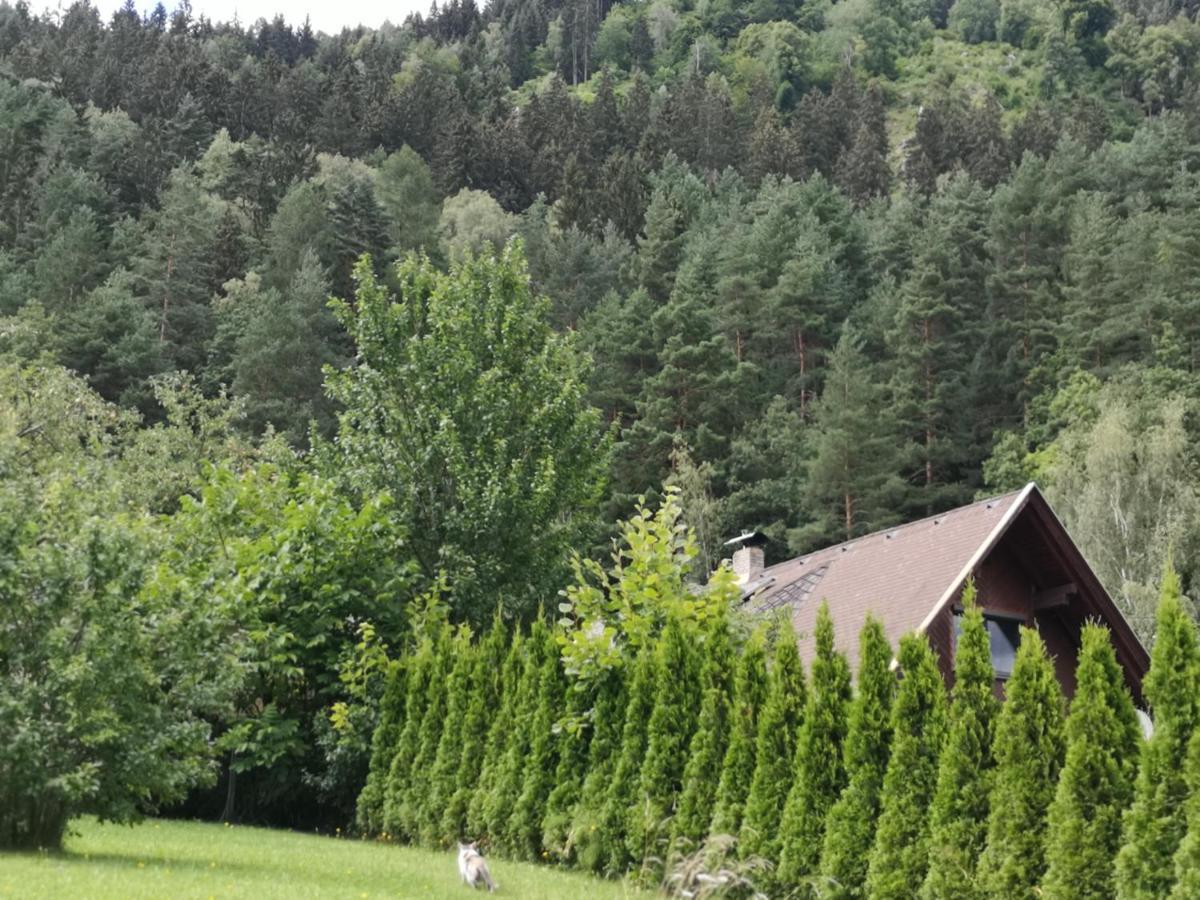 Villa Karnten Радентхайм Екстериор снимка